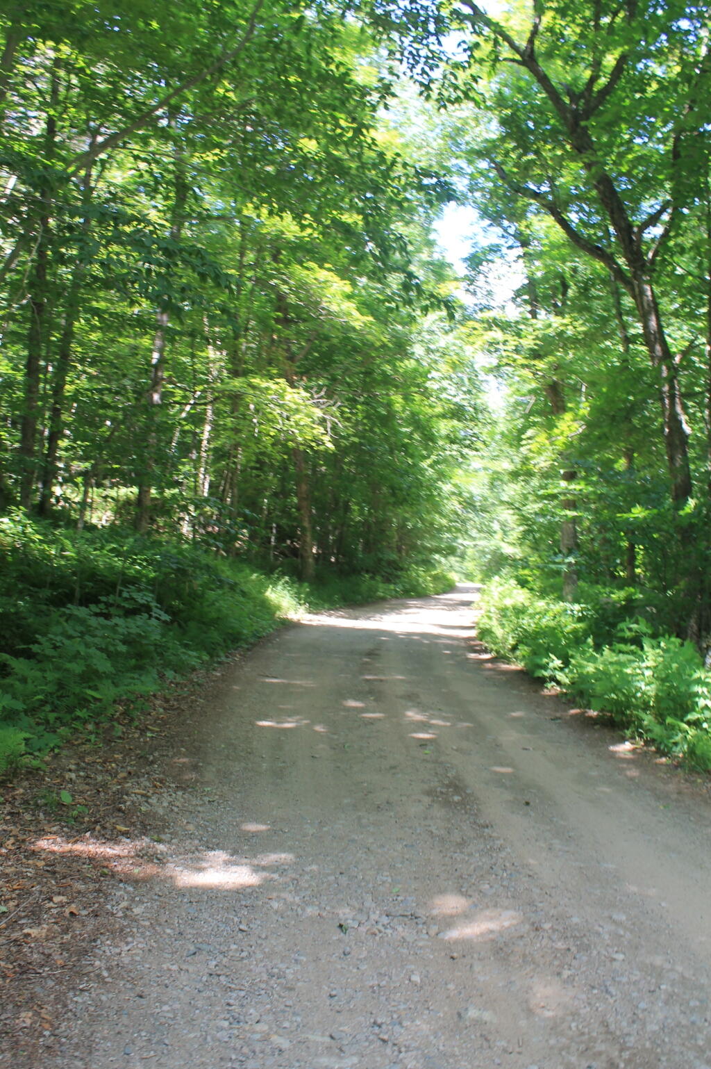Photo: North Lake Road