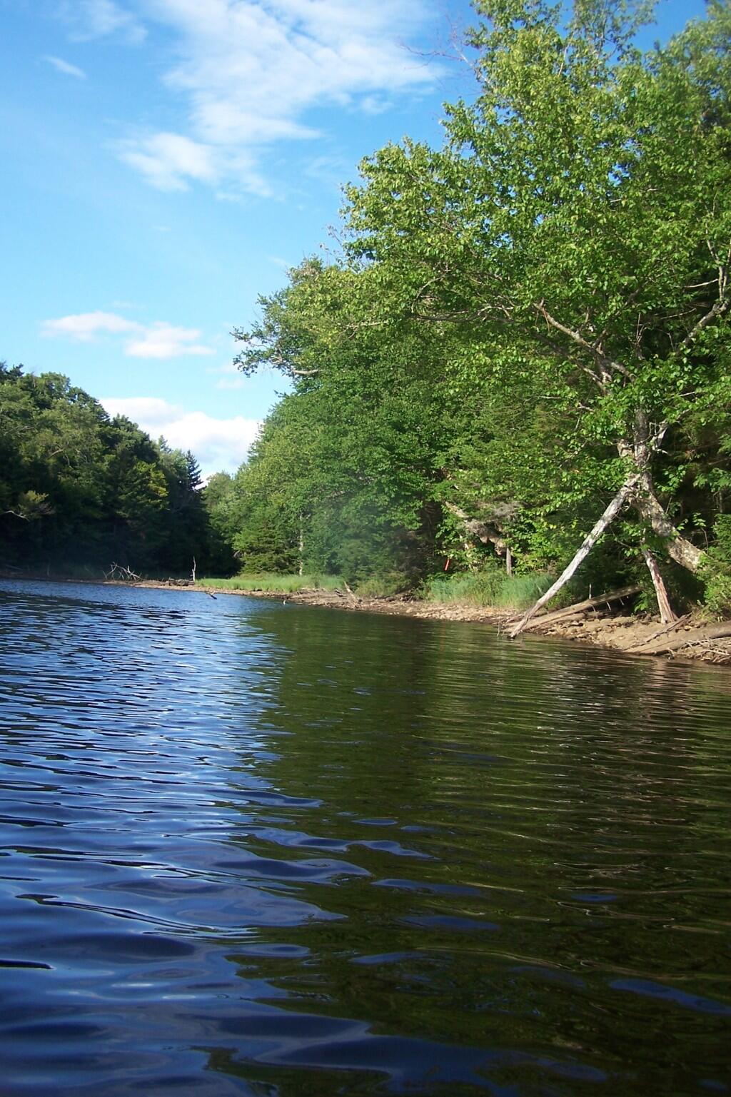 Photo: Paddle-In Campsite Along Cove