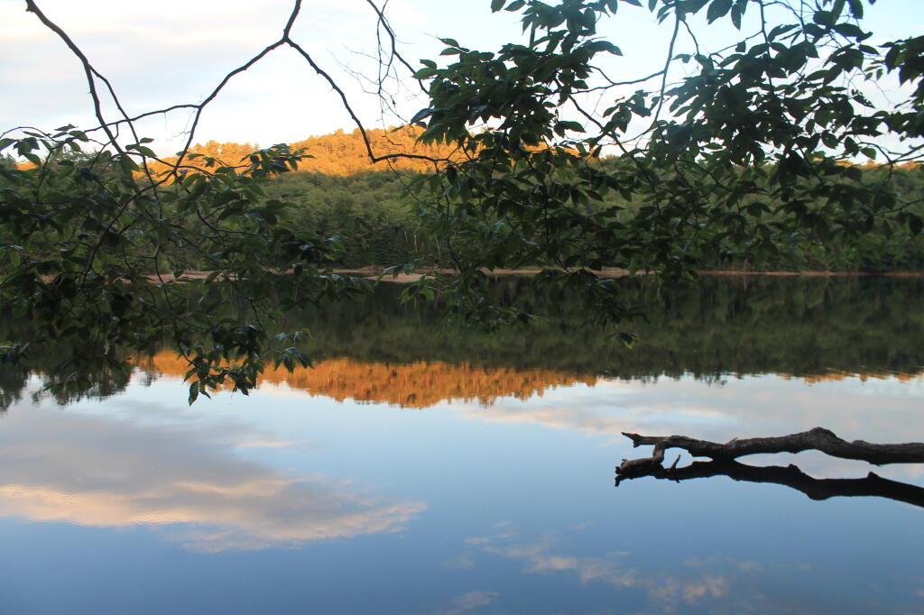 Photo: Evening Reflect