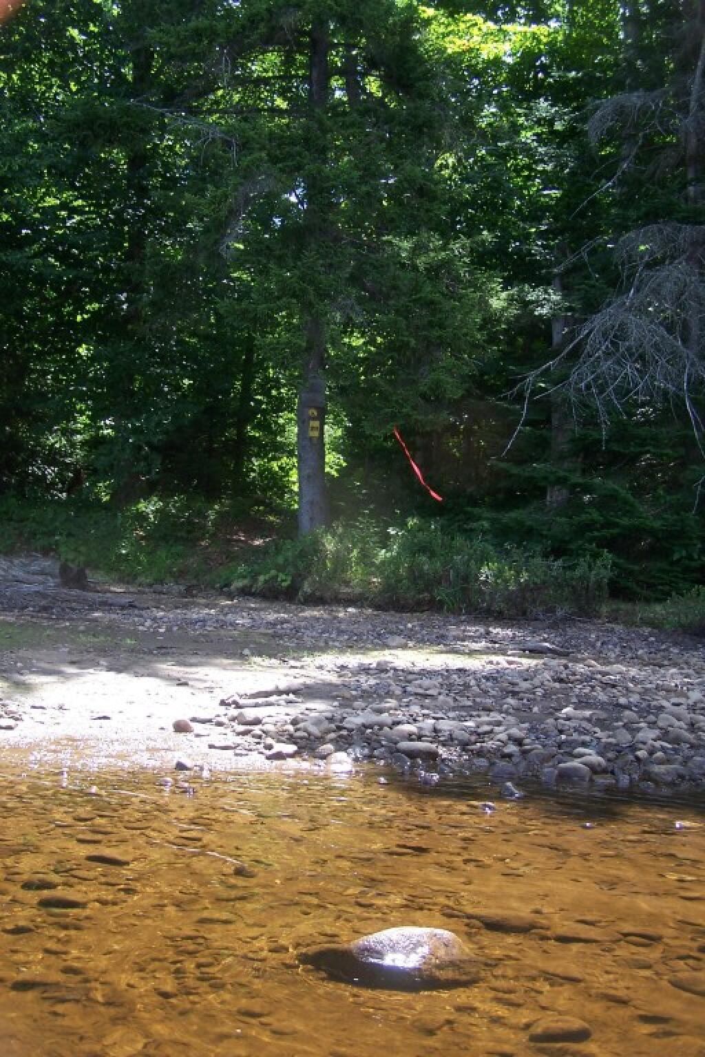 Photo: Campsite 31