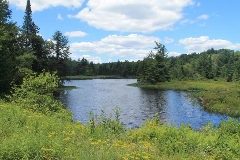 Photo: West Canada Creek West