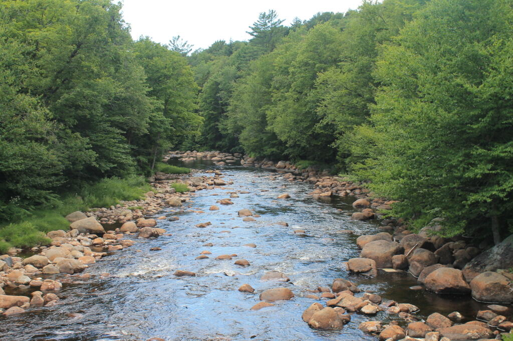 Photo: Black River South from Farr Road