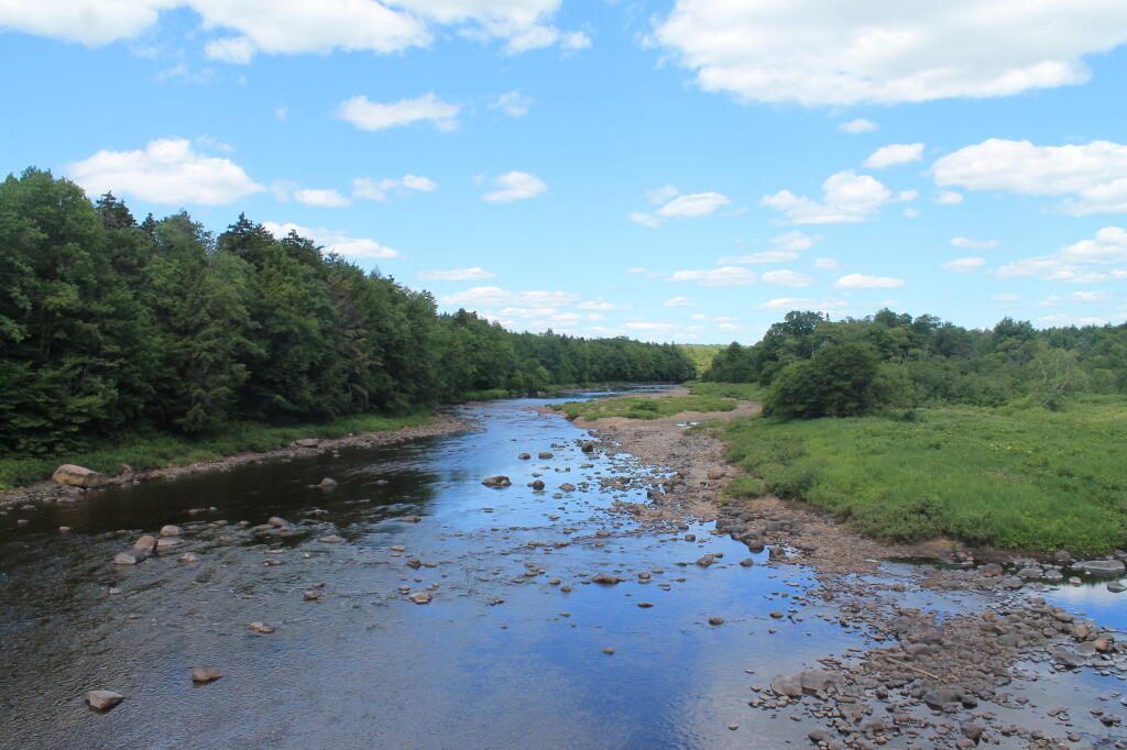 Photo: East from Harvey Bridge (Hinkley Reservoir)