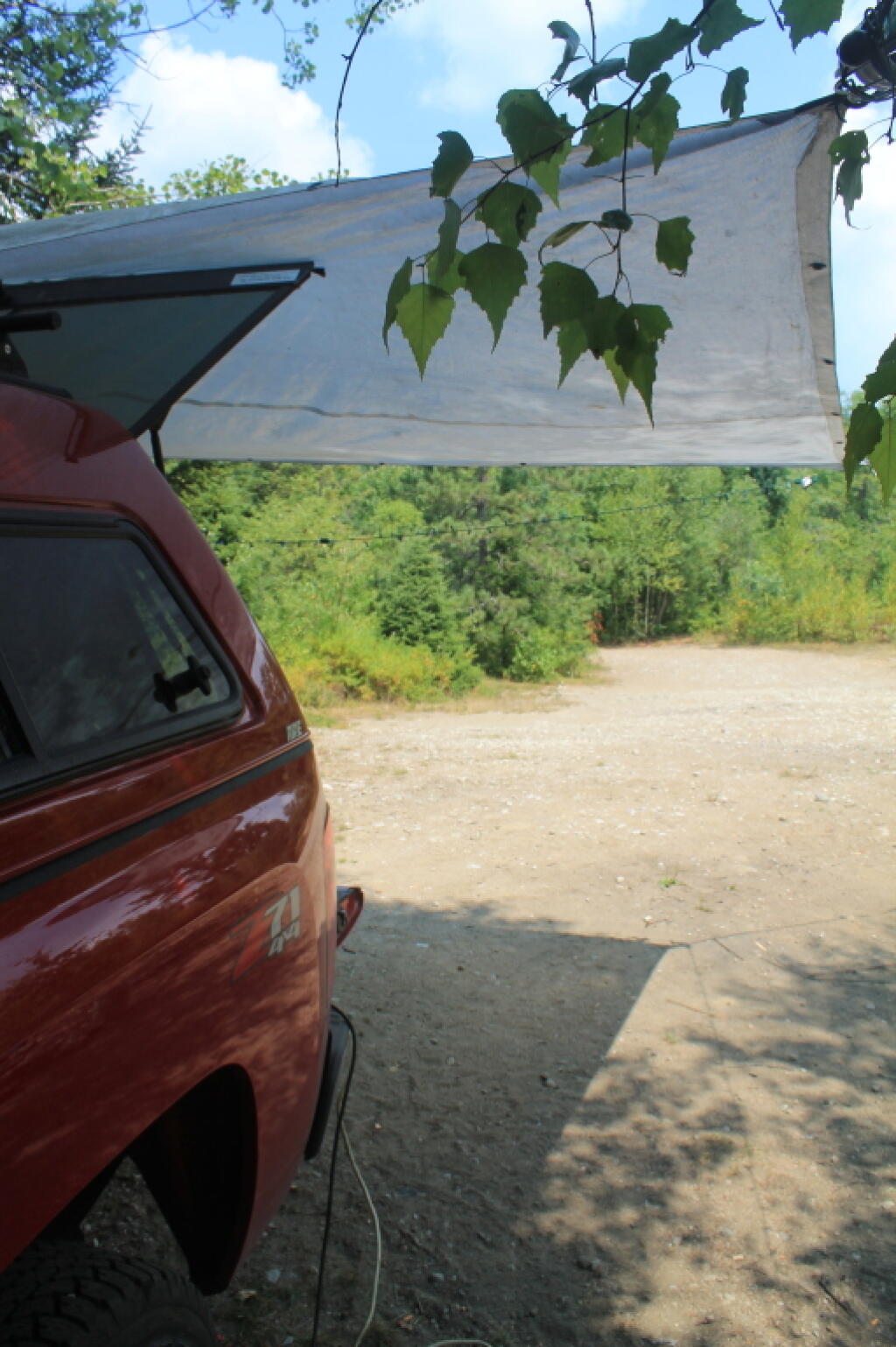 Photo: Hiding Out on a Very Hot Sunny Day