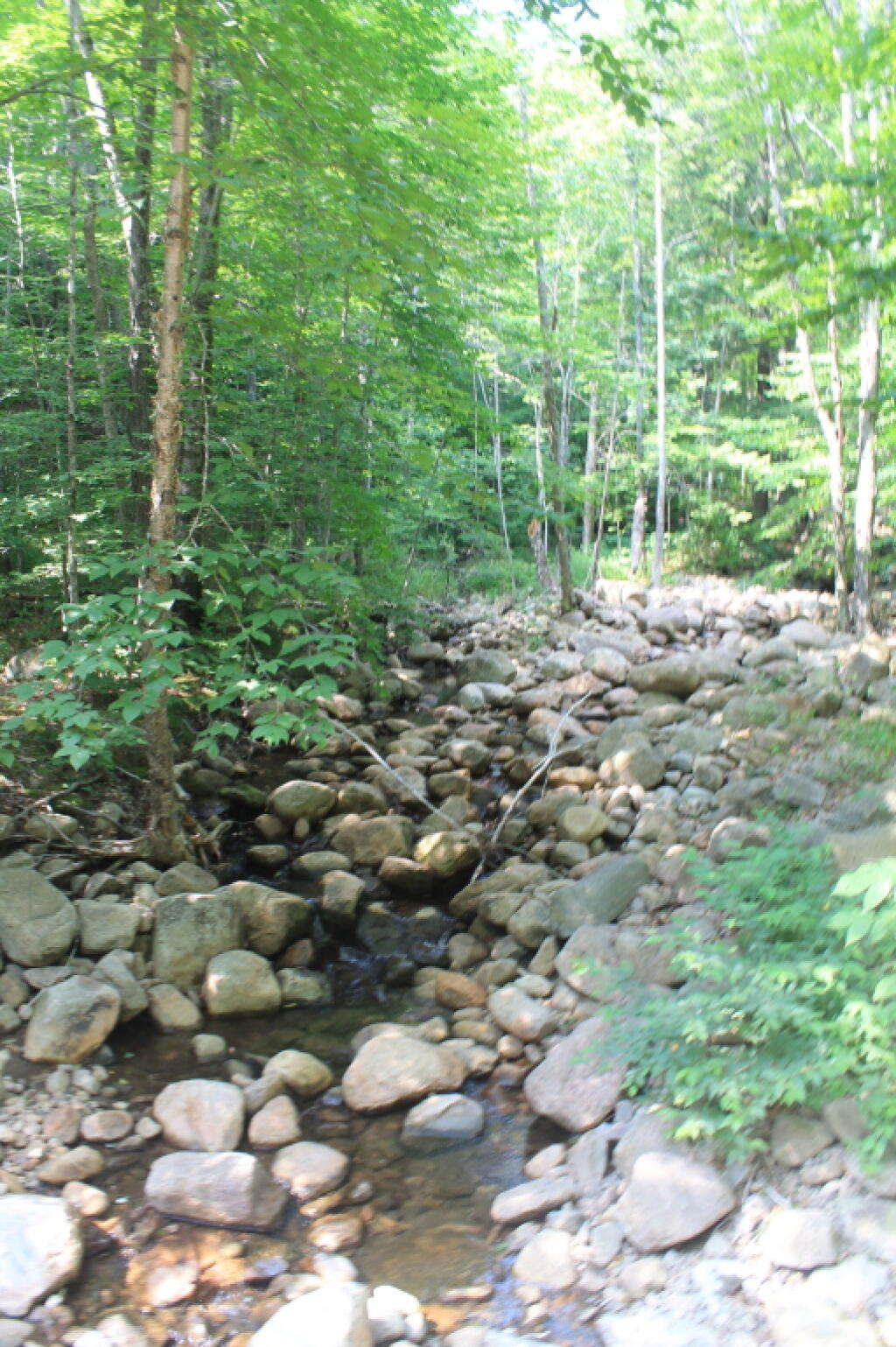 Photo: Dugway Creek