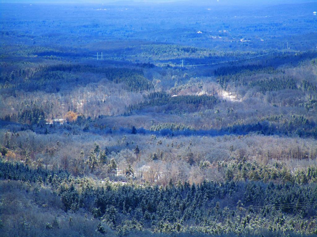 Photo: Icy View from Bennett Hill