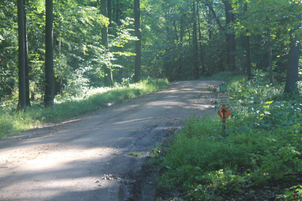 Photo: Rebuilt Forest Road 160