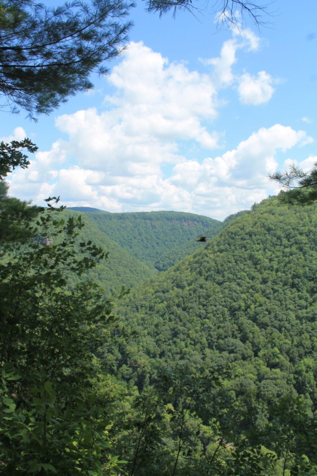 Photo: The Gorge