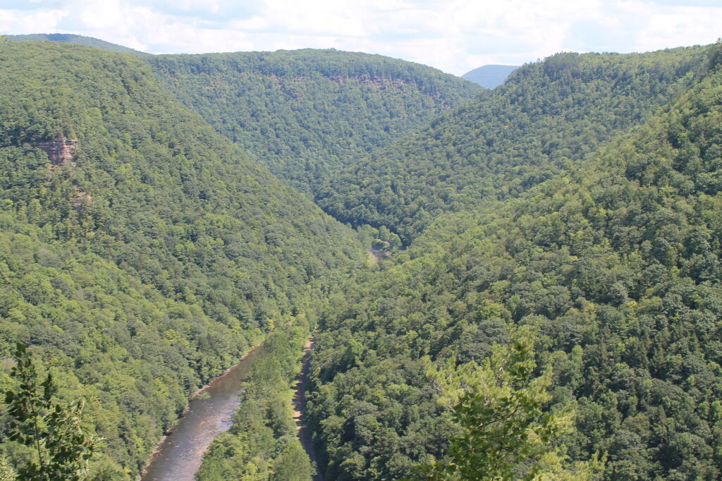 Photo: The Canyon / Gorge