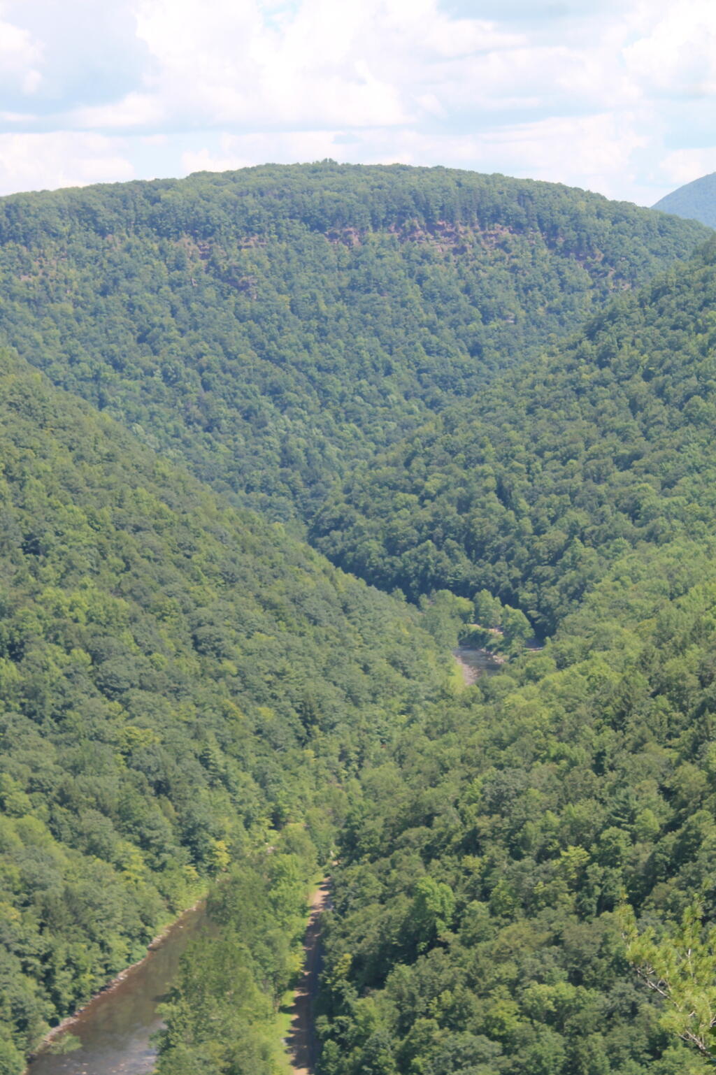 Photo: The Canyon