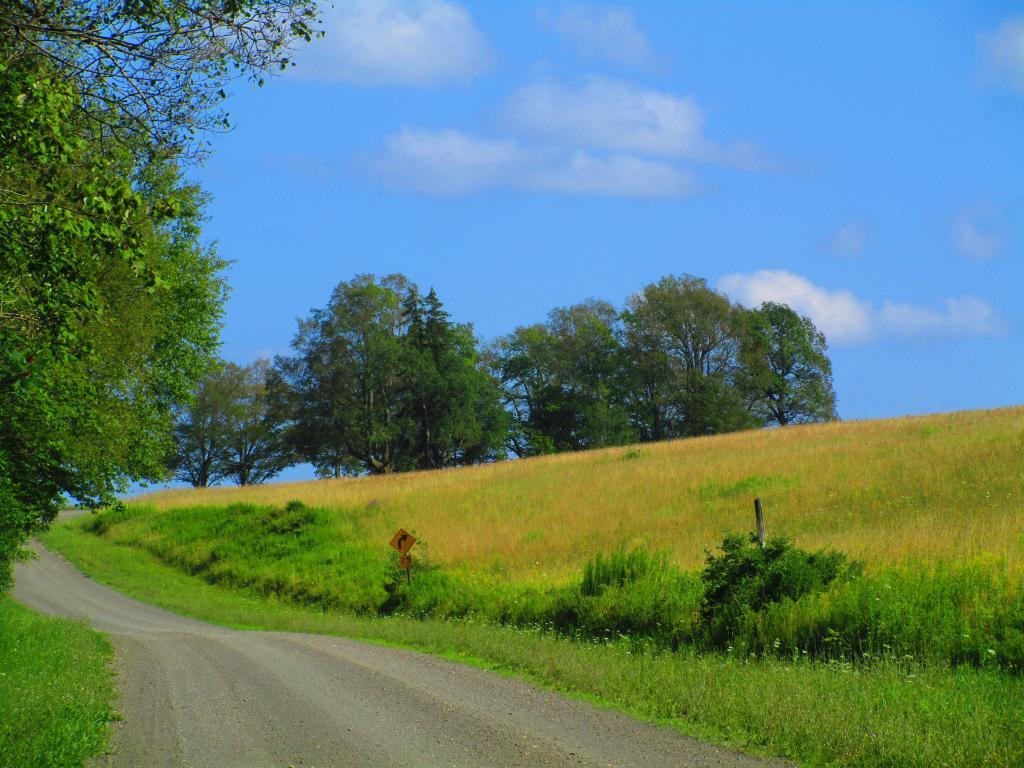 Photo: Country Roads