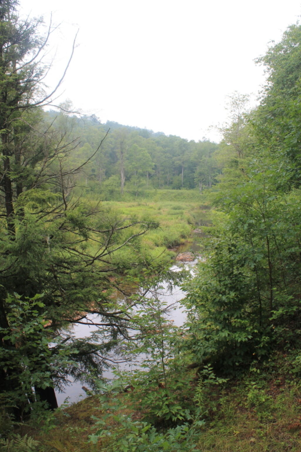 Photo: Marion River