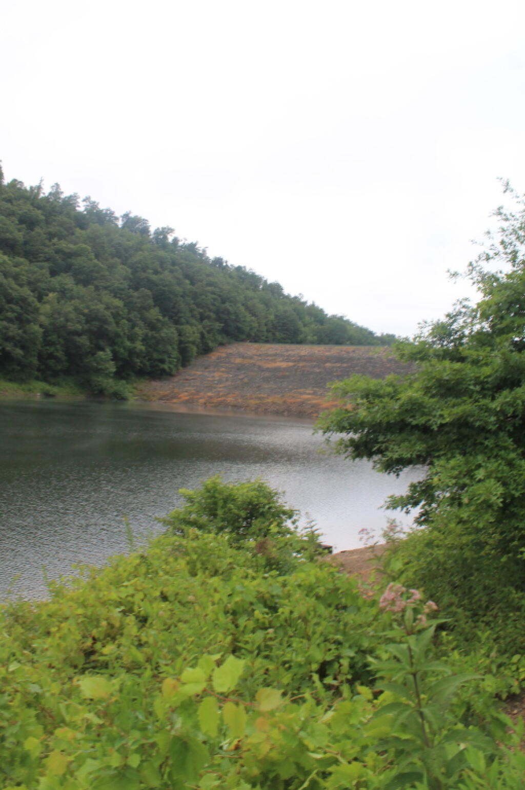 Photo: Tionesta Dam