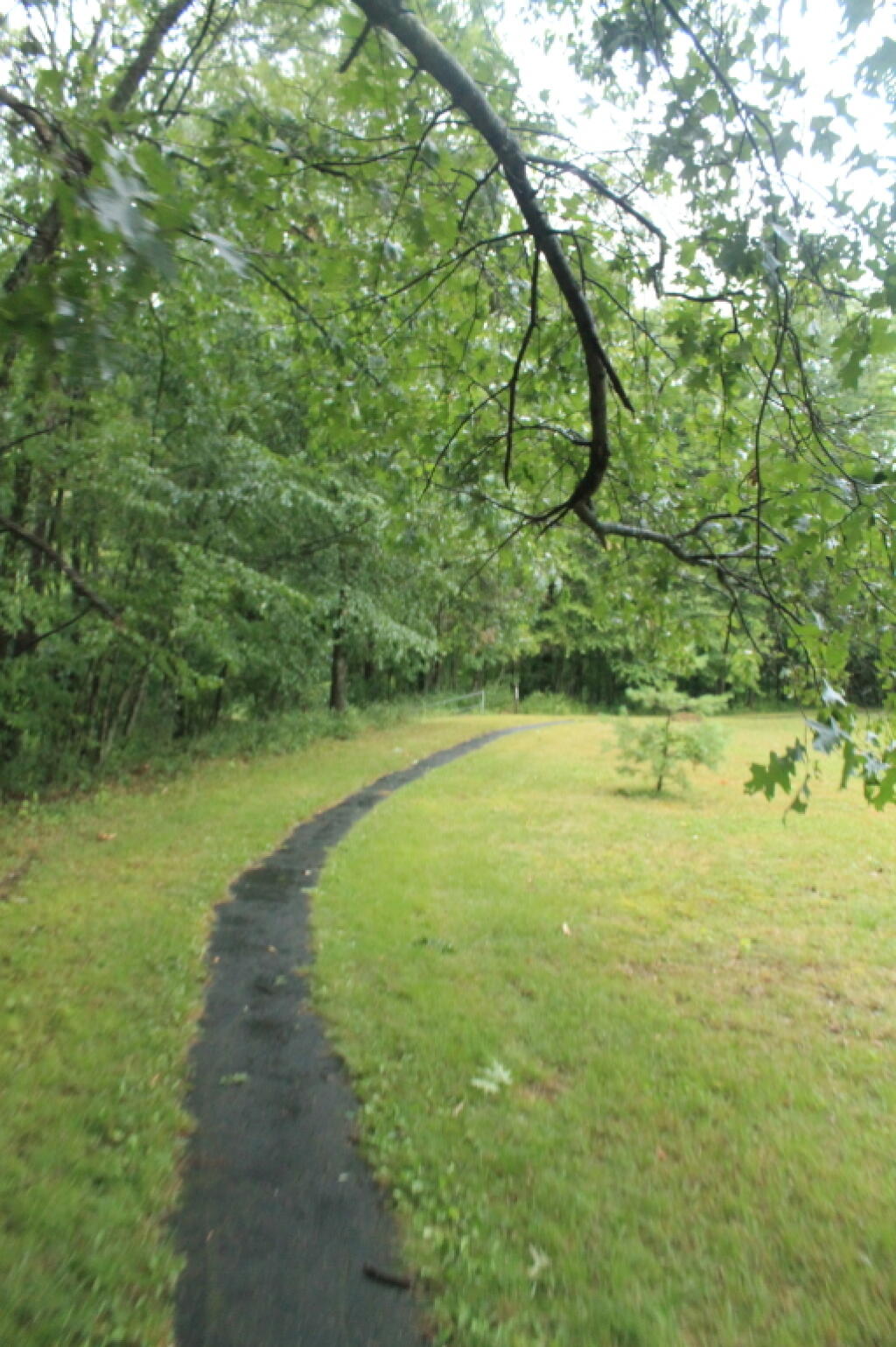 Photo: Tionesta Lake Trail