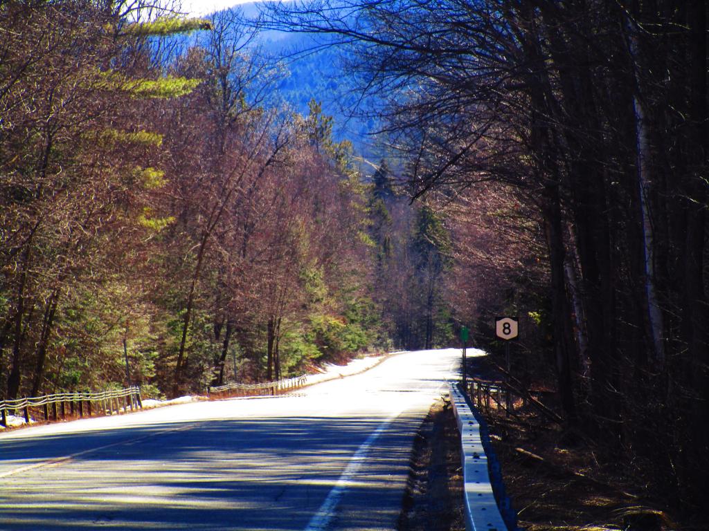 Photo: Riding Down Eleventh Mountain on NY 8 Was Fun