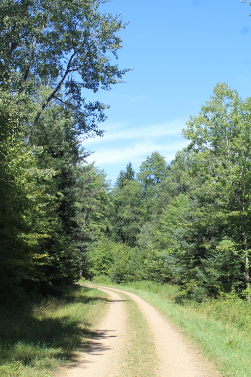 Photo: Gated Portion of Buzzard Swamp Road