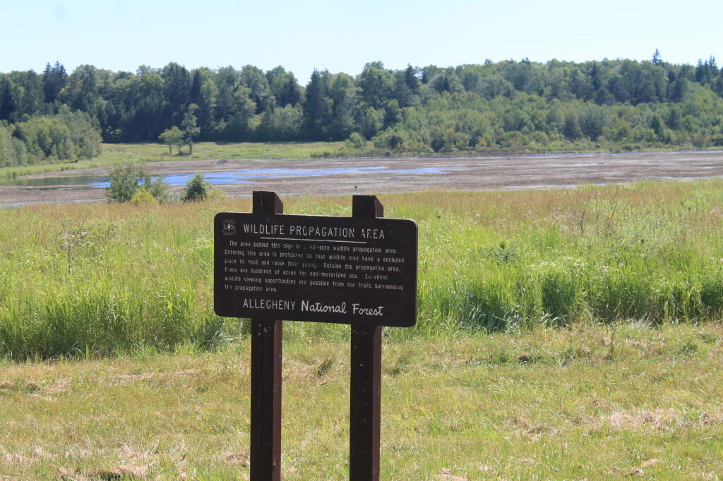 Photo: Wildlife Propagantion Area