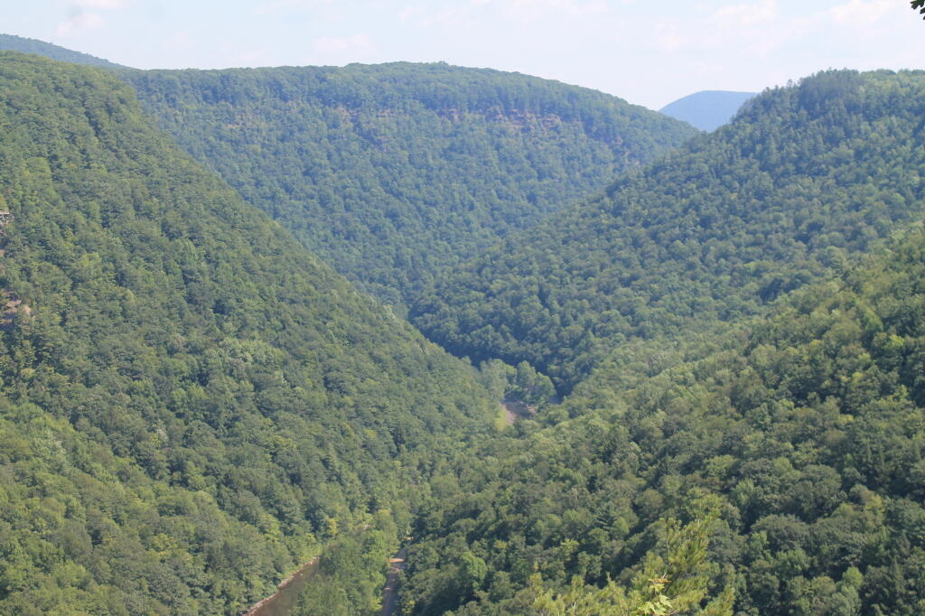 Photo: The Gorge
