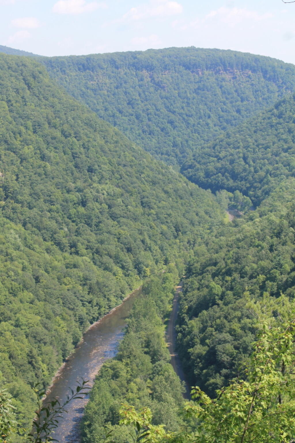 Photo: Pine Creek