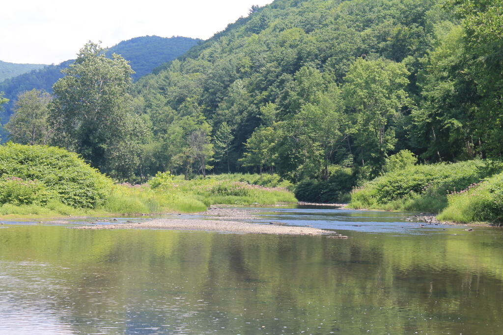 Photo: In the Creek Gorge