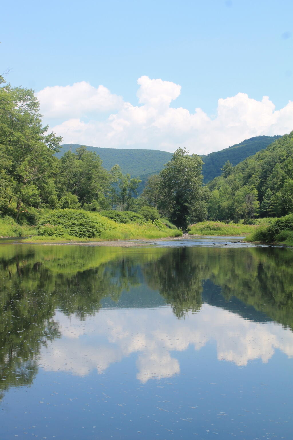 Photo: Reflects