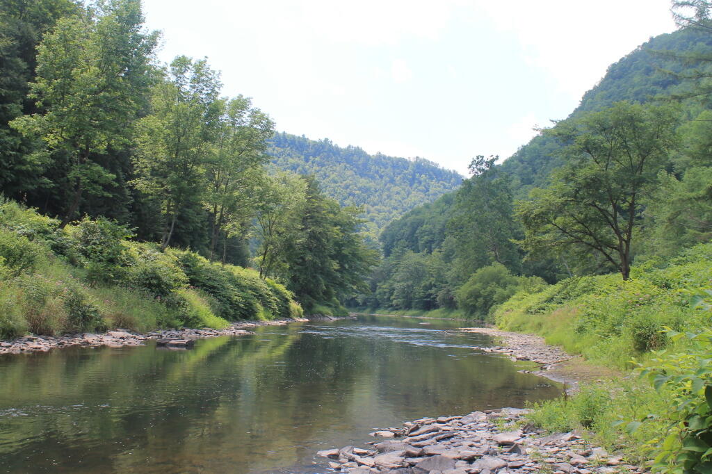 Photo: South in Gorge