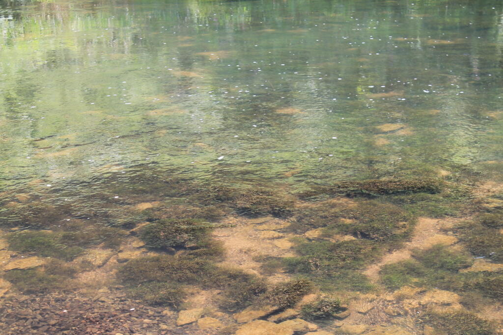 Photo: Water Photo: Water