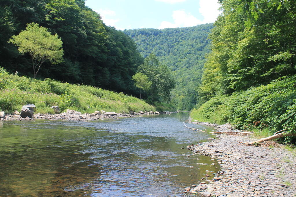 Photo: Pine Creek