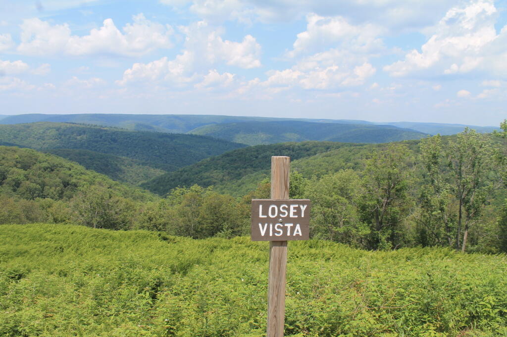Photo: Losey Vista