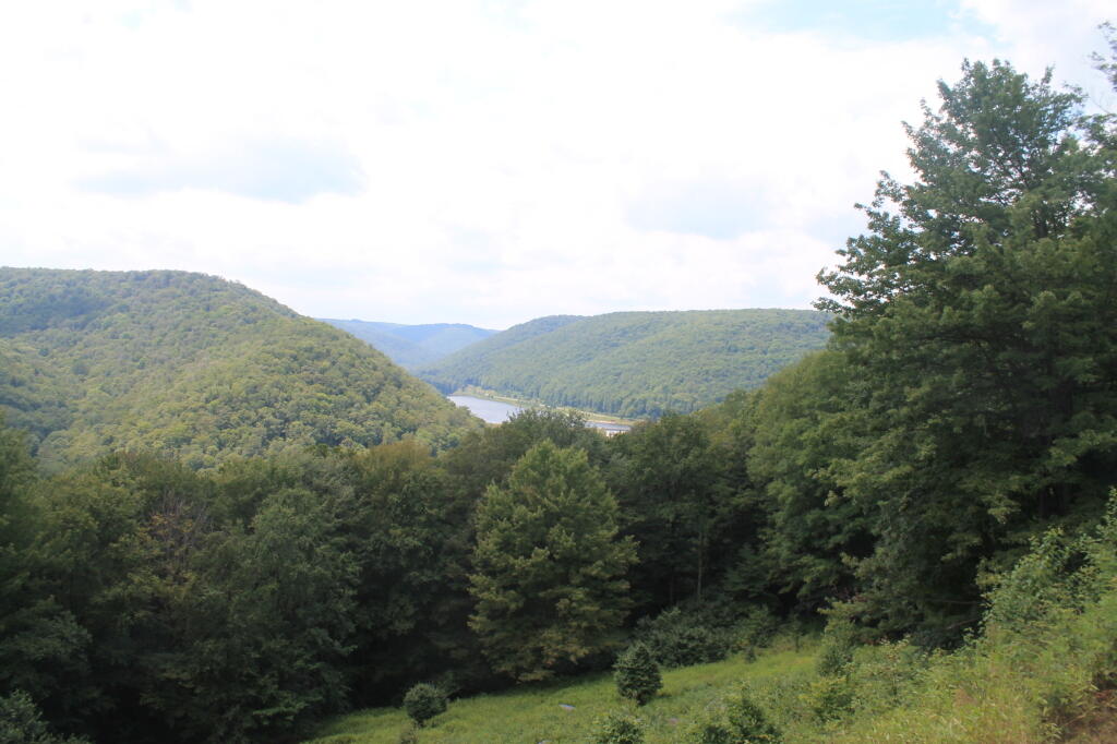 Photo: Lyman Run Vista