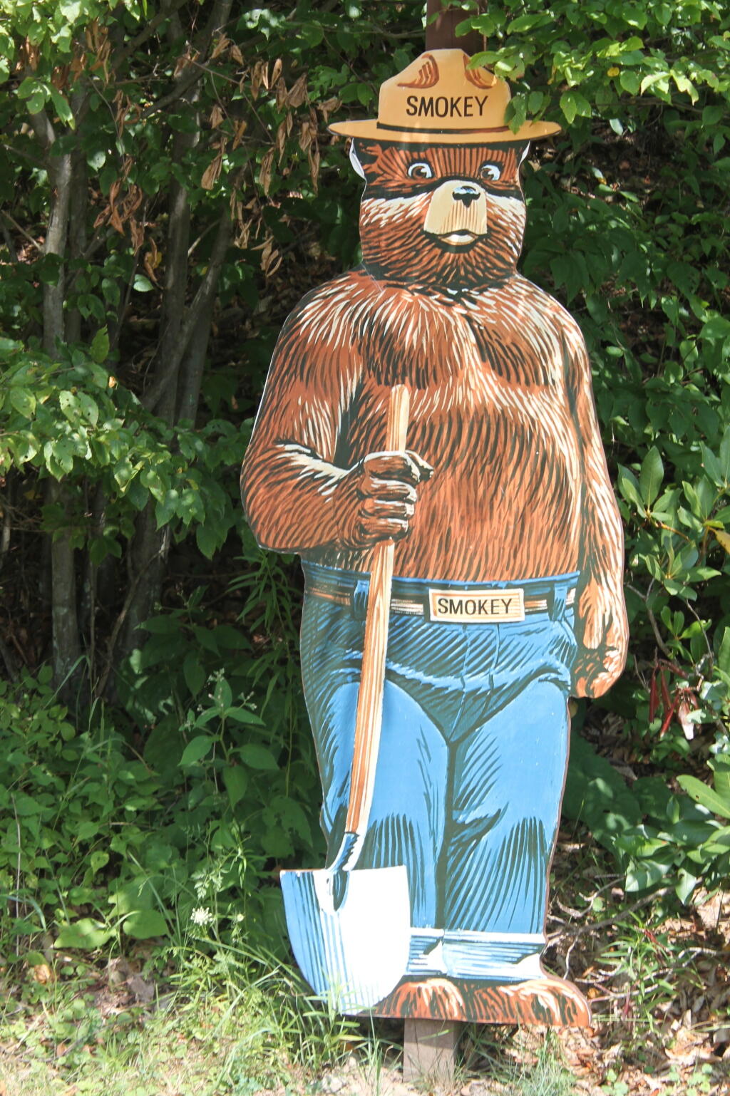 Photo: Smokey the Bear
