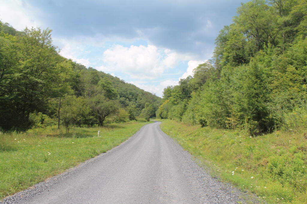 Photo: Lyman Run Road West