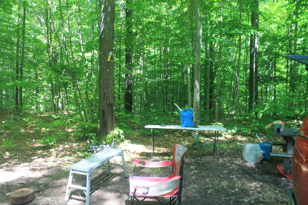 Photo: Camp
