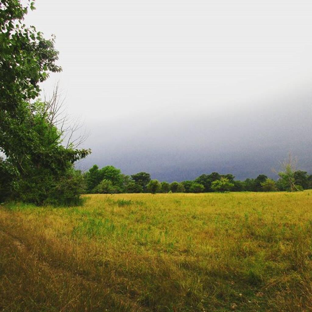 Photo: Before the storm