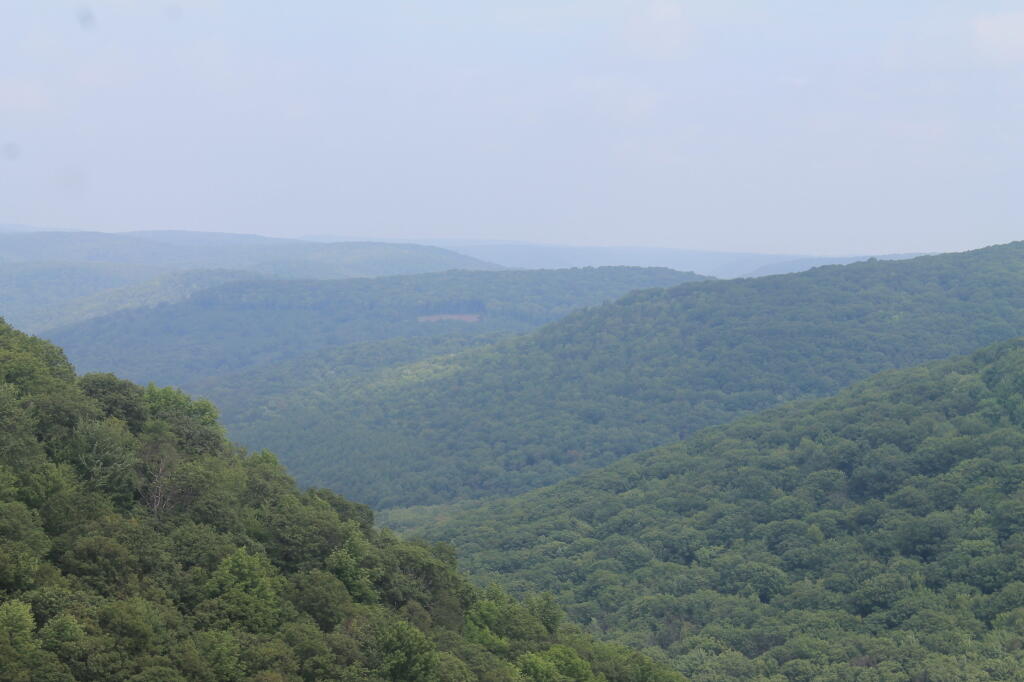 Photo: Elk Run Valley