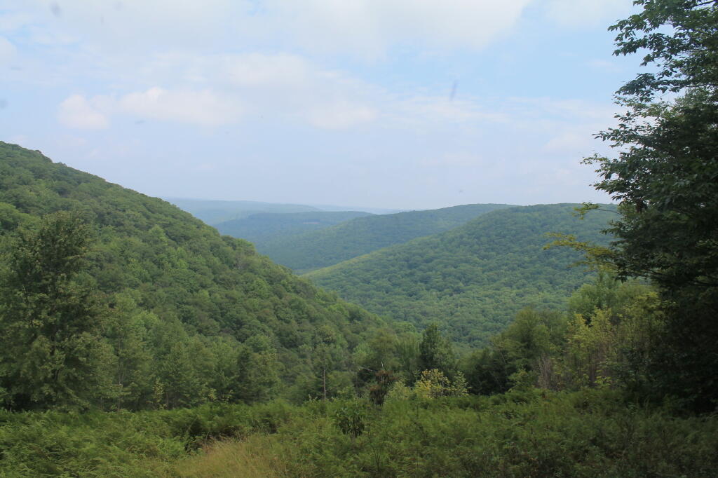 Photo: Elk Run Vista