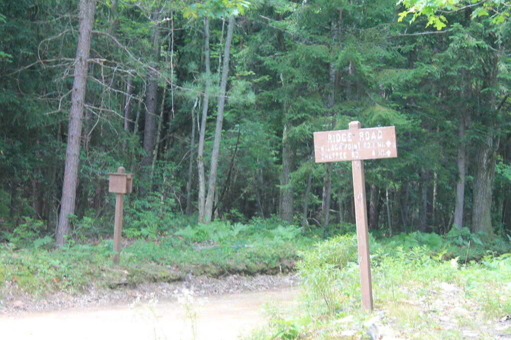 Photo: Ridge Road