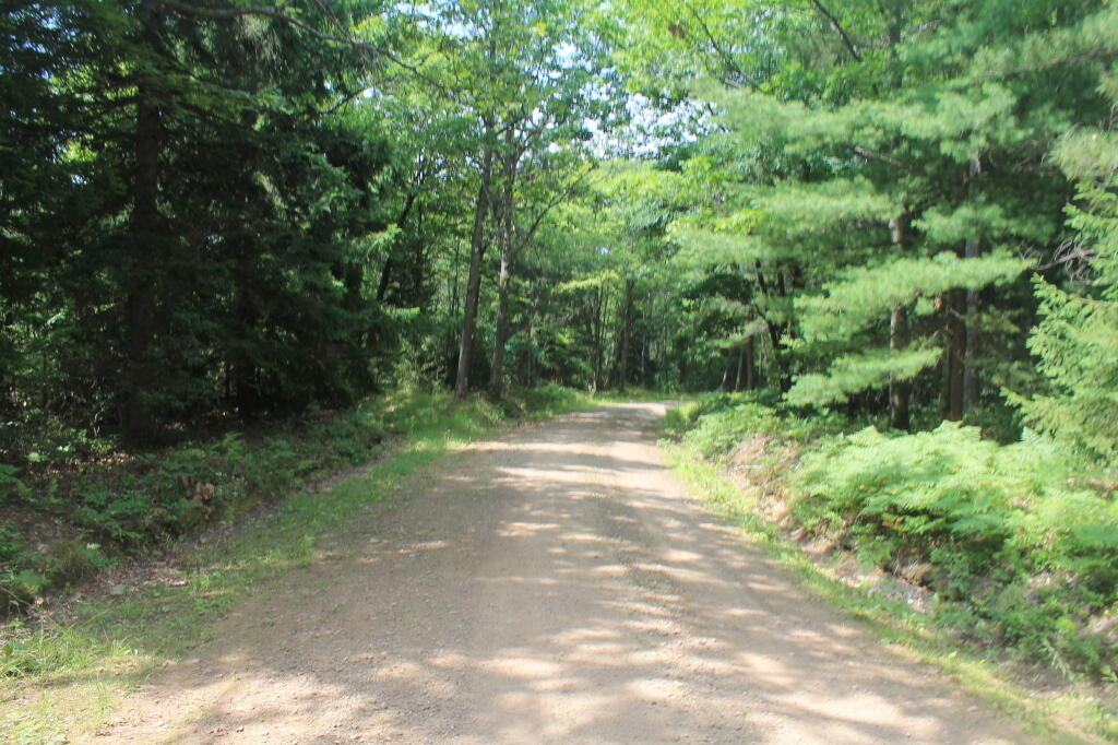 Photo: Along Cedar Mountain Road
