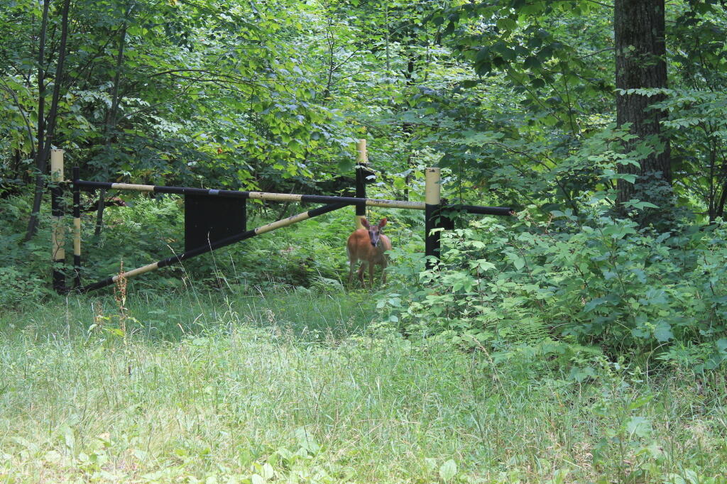 Photo: Gated Trail
