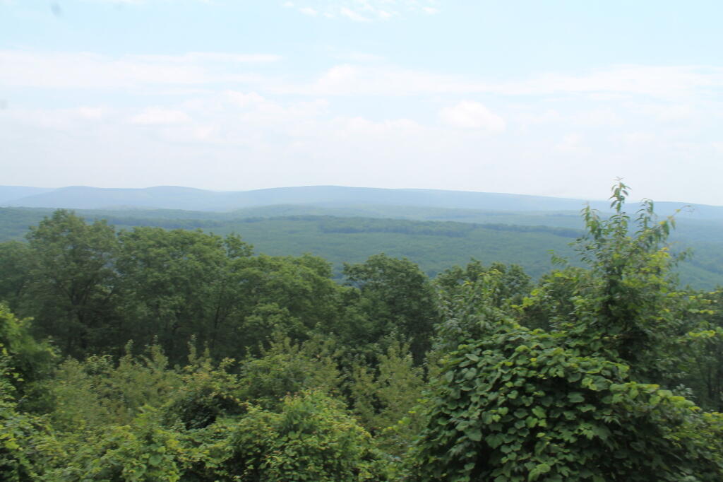 Photo: Cushman Vista