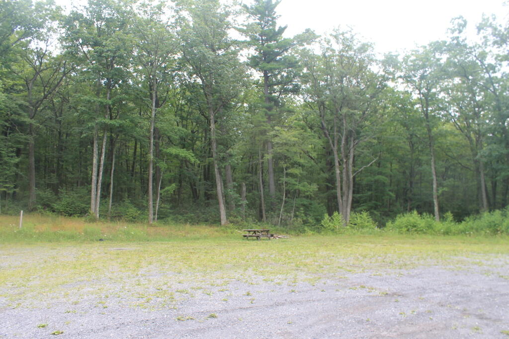 Photo: 12 Mile Vista Campsite