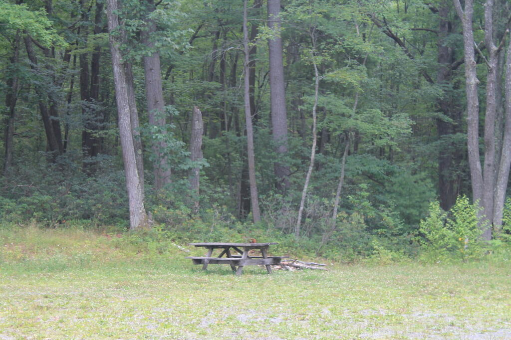 Photo: 12 Mile Campsite