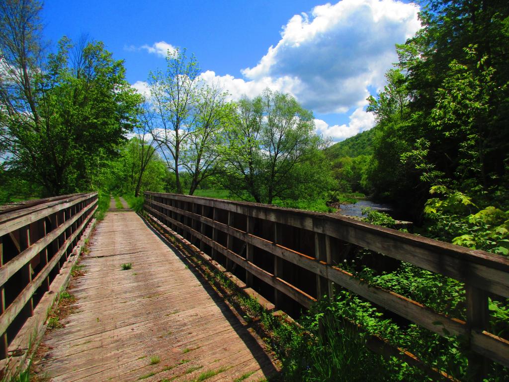 Photo: Bridge