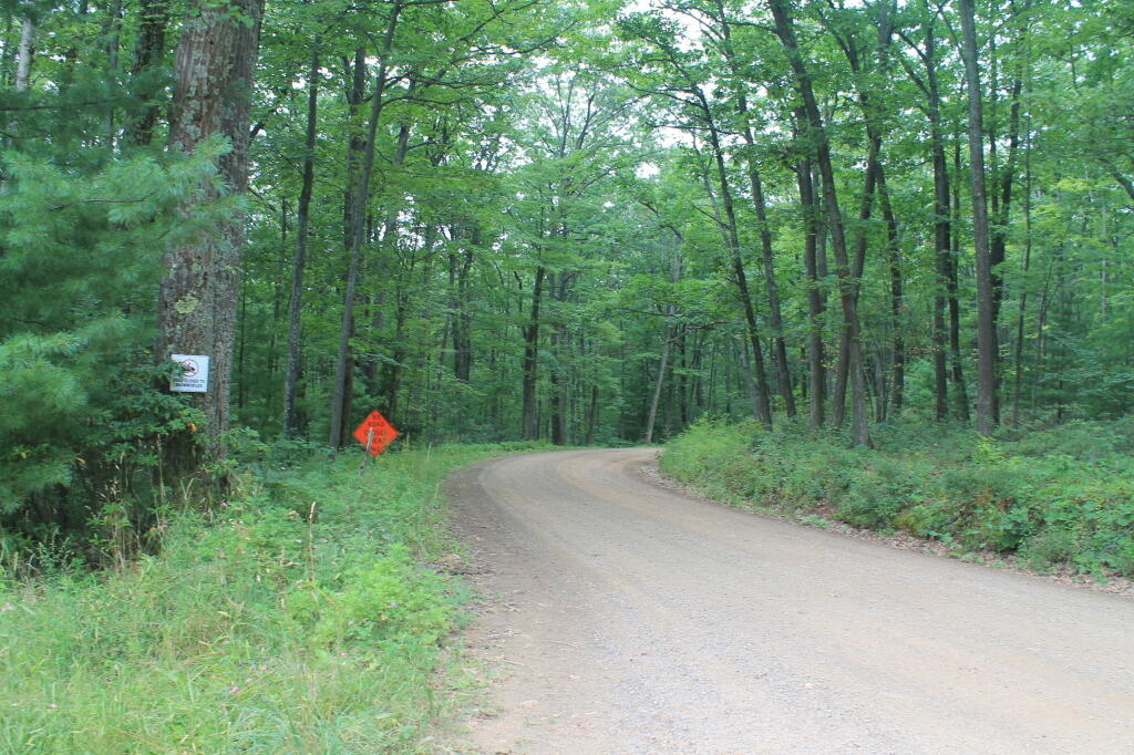Photo: 12 Mile Road