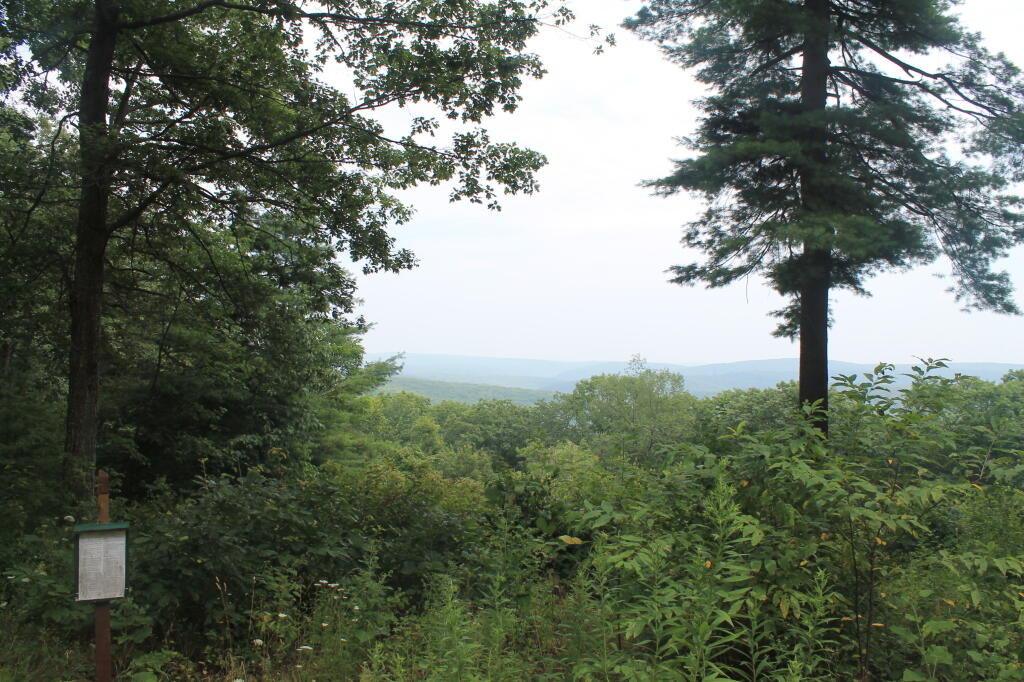 Photo: Black Forest Vista