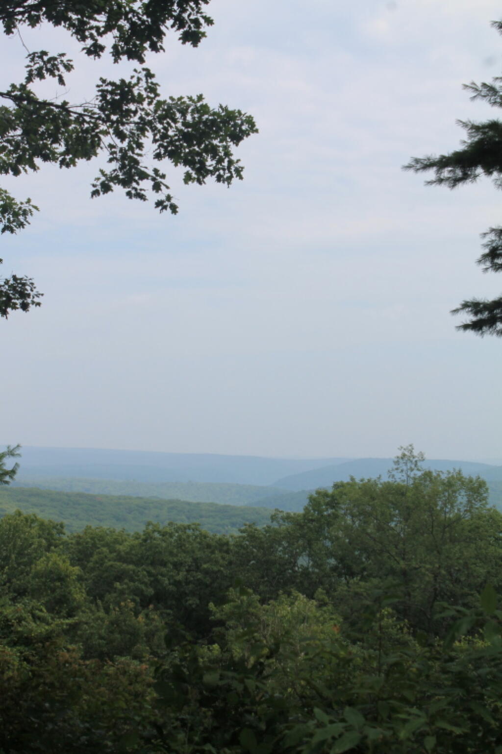 Photo: Sure is Hazy