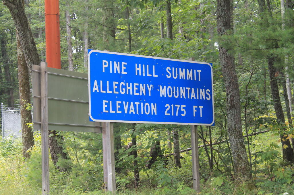 Photo: Pine Hill Summit 2175 Feet