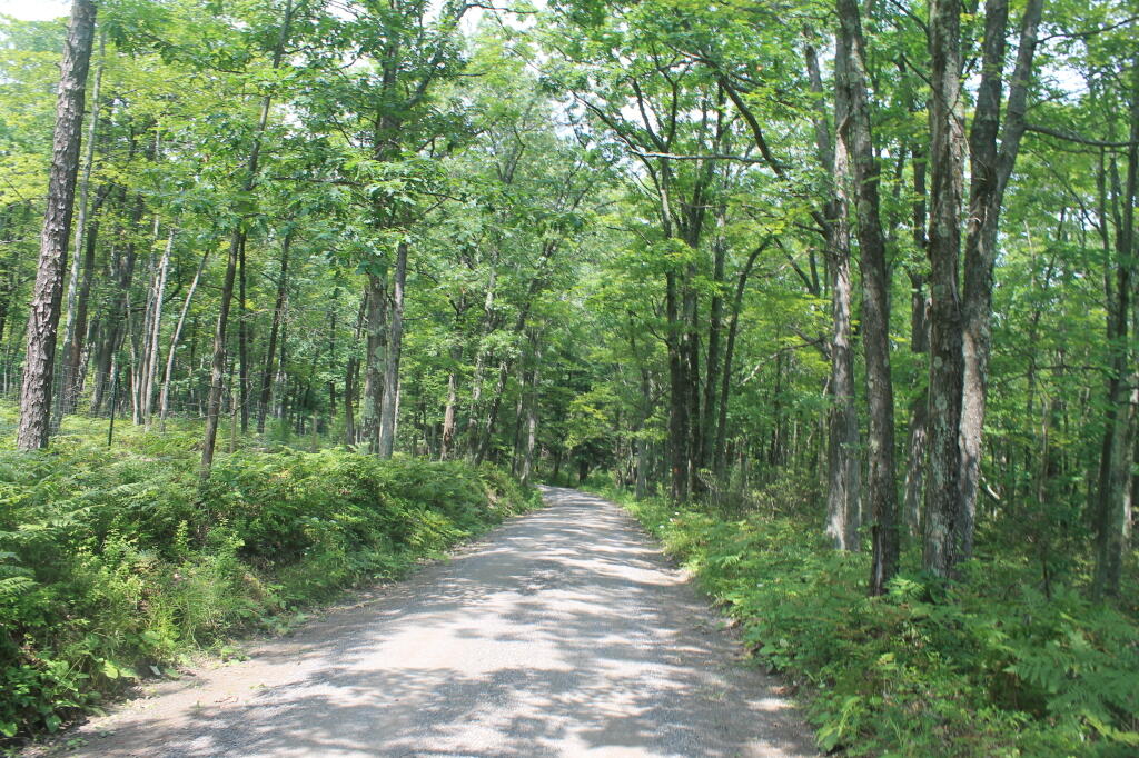 Photo: Manor Fork Vista