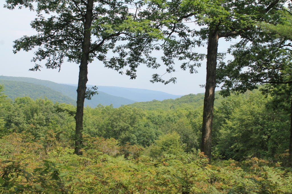 Photo: Manor Fork Vista