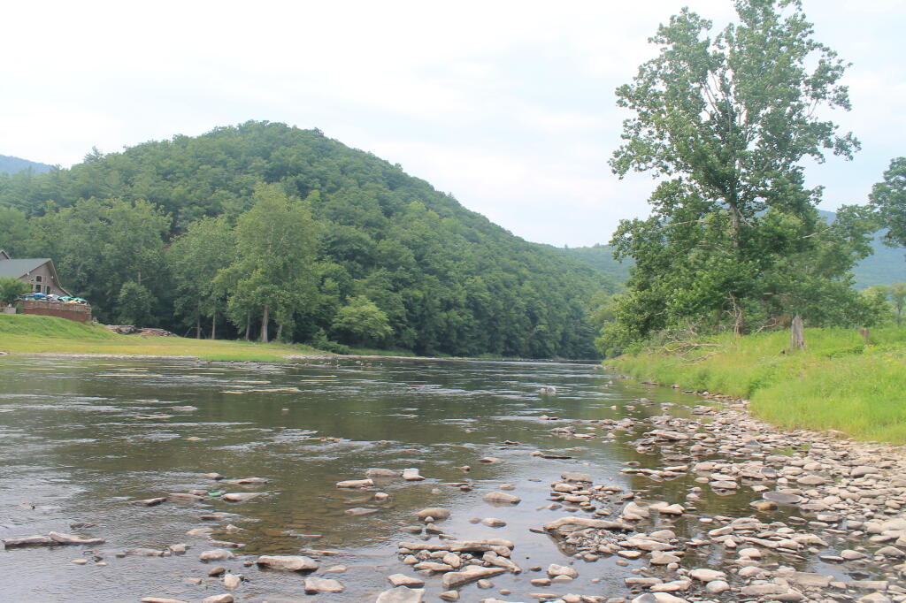 Photo: Pine Creek in Slate Vista